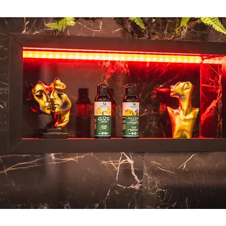 Lebene - & En Baie De Somme Dom wakacyjny Cayeux-sur-Mer